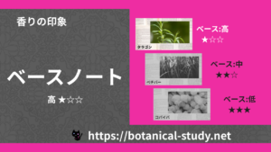 ベースノート 内分類：高｜アロマ精油一覧のアイキャッチ画像