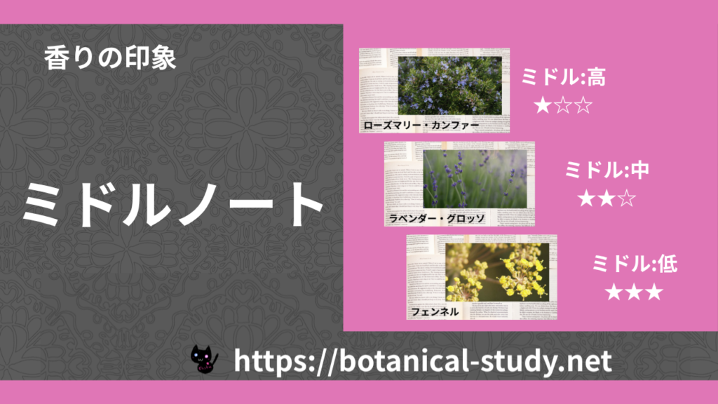 ミドルノート|3種の香りの印象・ノート一覧 のアイキャッチ画像