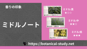 ミドルノート｜3種の香りの印象・ノート一覧 のアイキャッチ画像