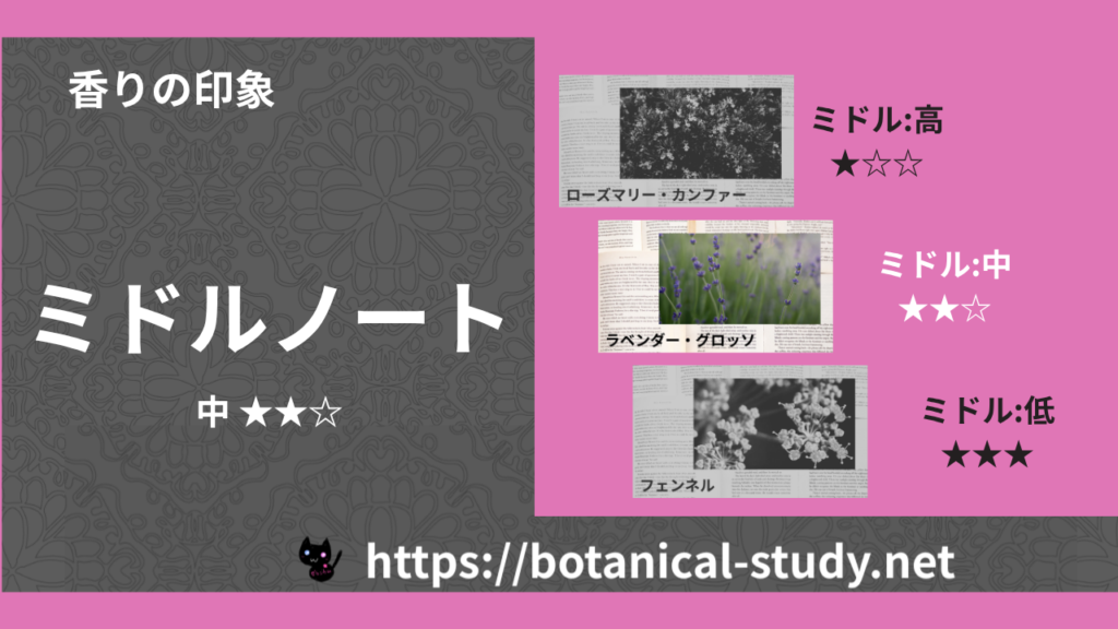 ミドルノート 内分類：中｜アロマ精油一覧のアイキャッチ画像