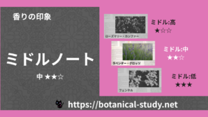 ミドルノート 内分類：中｜アロマ精油一覧のアイキャッチ画像