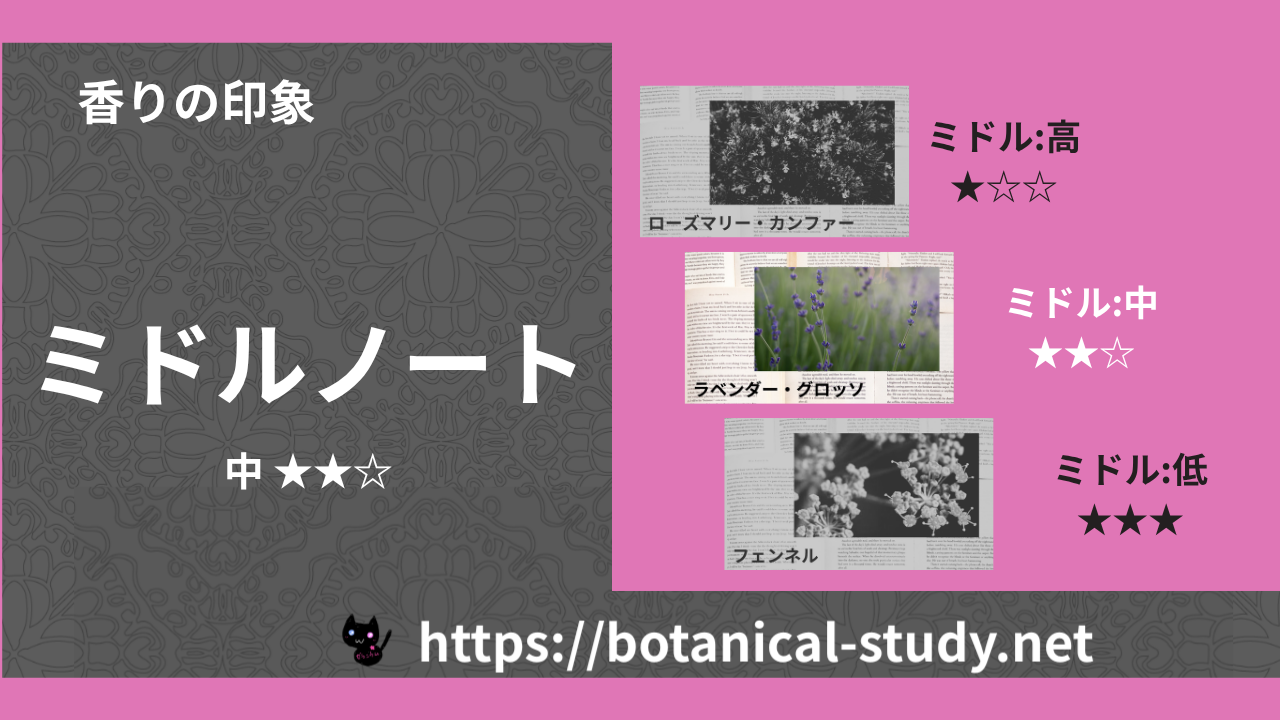 ミドルノート 内分類:中|アロマ精油一覧のアイキャッチ画像