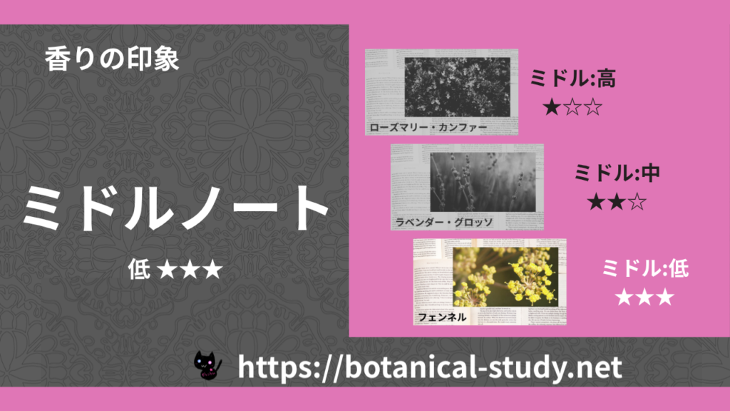 ミドルノート 内分類：低｜アロマ精油一覧のアイキャッチ画像