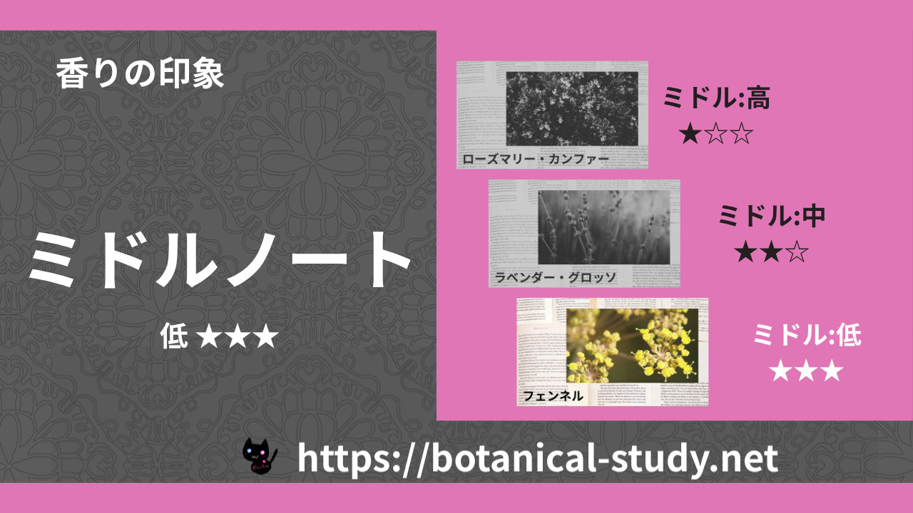 ミドルノート 内分類:低|アロマ精油一覧のアイキャッチ画像