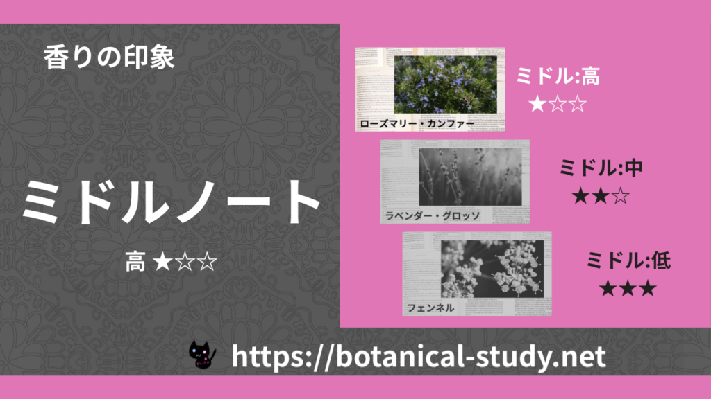 ミドルノート 内分類：高｜アロマ精油一覧のアイキャッチ画像