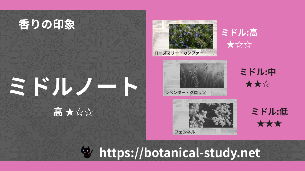 ミドルノート 内分類:高|アロマ精油一覧のアイキャッチ画像