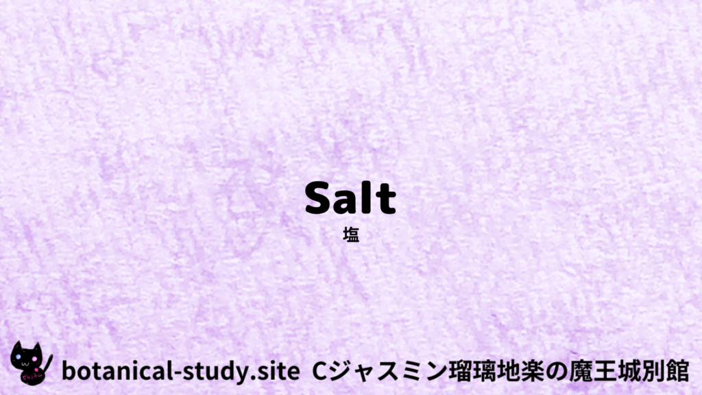英語版塩のプチ辞典クイズのアイキャッチ
