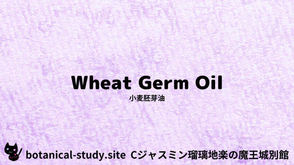 英語版小麦胚芽油のプチ辞典クイズのアイキャッチ