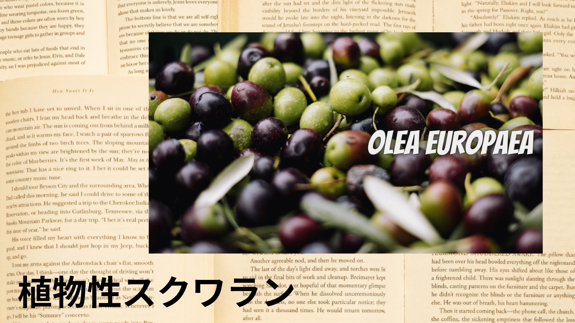 植物性スクワランの植物素材辞典のアイキャッチ