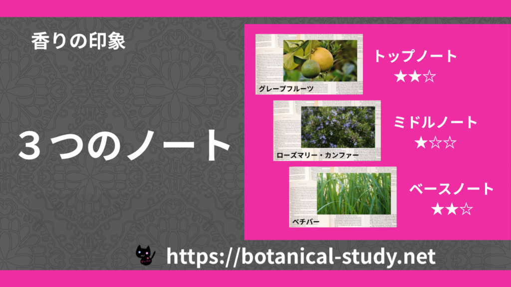 3種の香りの印象・ノート一覧のアイキャッチ画像