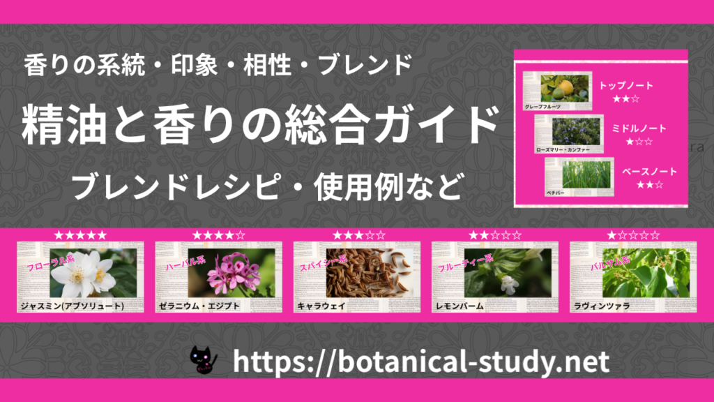 香りの分類体系｜香調＆ノート総合一覧のアイキャッチ画像