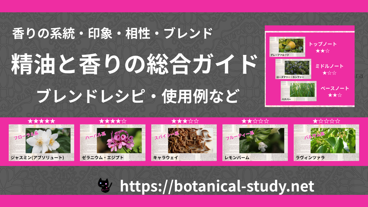 香りの分類体系|香調&ノート総合一覧のアイキャッチ画像