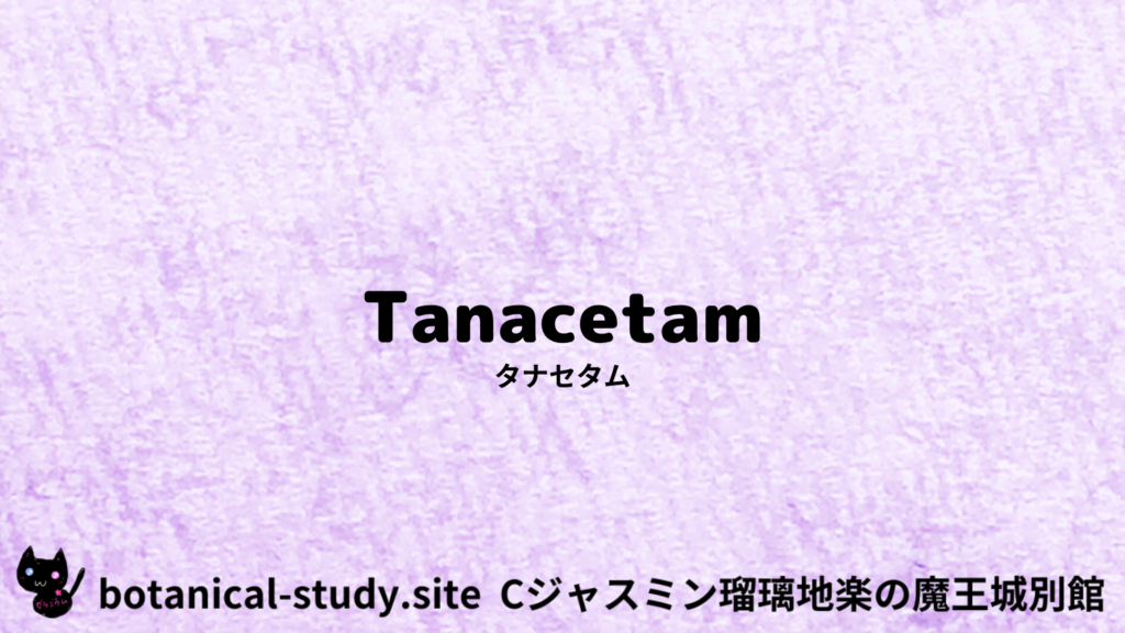 英語版 タナセタムのプチ辞典クイズのアイキャッチ